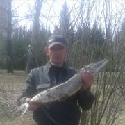 ���������� ����������, ���� ������� ��������, 41 ���, ������������ ��� ������, ����� � ���������, c�������� ���������, ���������