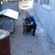 ���������� ��������, ���� ������� �����, 38 ���, ������������ ��� ������, ����� � ���������