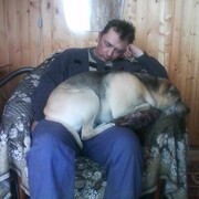 ���������� �����-���������, ���� ������� ���������, 54 ����, ������������ ��� ����� � ���������, c�������� ���������