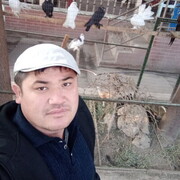 ���������� ��������, ���� ������� �������, 38 ���, ������������ ��� ������, ����� � ���������