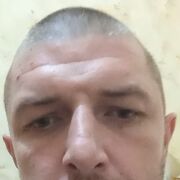   ))