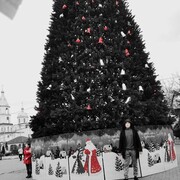 ���������� ���������, ���� ������� �������, 35 ���, ������������ ��� ������, ����� � ���������