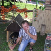  ,   , 41 ,  