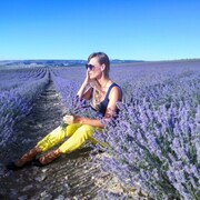 ���������� ������, ���� ������� �����, 39 ���, ������������ ��� ����� � ���������, c�������� ���������