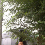 ���������� ������, ���� ������� ���, 38 ���, ������������ ��� ������