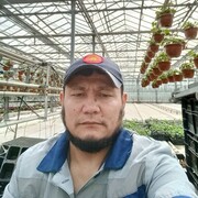 ���������� ������, ���� ������� �������, 41 ���, ������������ ��� ������, ����� � ���������