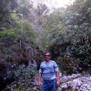  ,   , 52 ,   ,   , c 