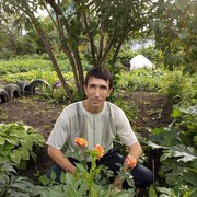  ,   , 51 ,   ,   , c , 