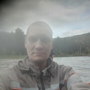  ,   Kotik, 40 ,     , c 