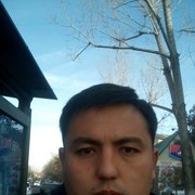  Lone Tree,  , 33