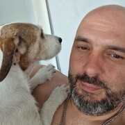  ,   , 44 ,   ,   