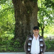  ,  Dato, 77