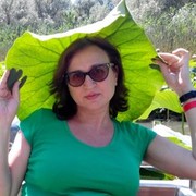 -,   , 51 ,   ,   , c 