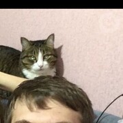 ���������� �����������, ���� ������� �����, 33 ����, ������������ ��� ������, ����� � ���������, c�������� ���������, ���������