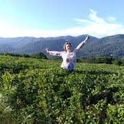 ���������� ������, ���� ������� Ann, 50 ���, ������������ ��� ������, ����� � ���������