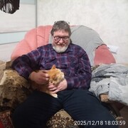 ���������� ��������, ���� ������� Nufnufnu, 55 ���, ������������ ��� ������, ����� � ���������, c�������� ���������