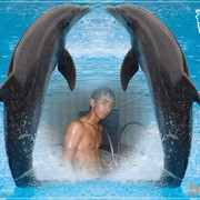  ,   Muxriddin, 33 ,     , c 