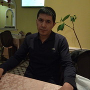  -,   , 41 ,  
