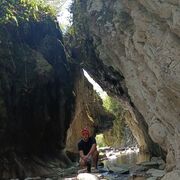 ���������� �����, ���� ������� ��������, 33 ����, ������������ ��� ������, ����� � ���������, c�������� ���������