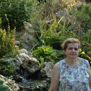  ,   , 54 ,   