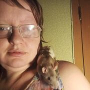 ���������� �����-���������, ���� ������� ���������, 38 ���, ������������ ��� ������, ����� � ���������