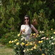 ���������� ������, ���� ������� �����, 38 ���, ������������ ��� ������, ����� � ���������, c�������� ���������