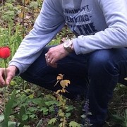  ,   Roman, 40 ,   ,   , c 