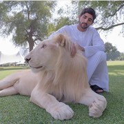  ,   Hamdan, 42 ,   ,   , c 
