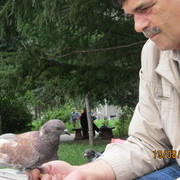 ���������� ����, ���� ������� ���, 65 ���, ������������ ��� ������