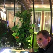  ,   , 57 ,   ,   
