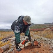 ���������� �����������, ���� ������� ������, 65 ���, ������������ ��� ������, ����� � ���������, c�������� ���������