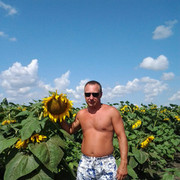  ,   , 44 ,  