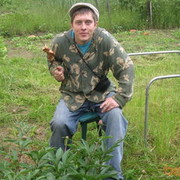 ���������� ������, ���� ������� ����, 43 ����, ������������ ��� ������, ����� � ���������, c�������� ���������