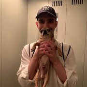 ���������� ��������, ���� ������� ���������, 27 ���, ������������ ��� ������, ����� � ���������