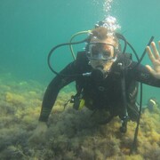 ���������� ������, ���� ������� �����, 34 ����, ������������ ��� ������, ����� � ���������