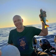  -,   , 50 ,   ,   , c 