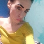  ,   Mif Safari, 44 ,   ,   