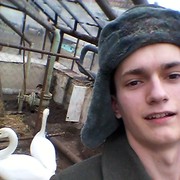  ,   , 28 ,  