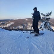 ���������� ���������, ���� ������� ���������, 41 ���, ������������ ��� ������, ����� � ���������