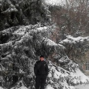 ���������� ���������, ���� ������� ��������, 41 ���, ������������ ��� ����� � ���������, c�������� ���������