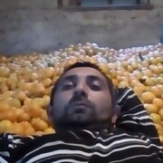 ���������� ����� ����, ���� ������� ��������, 45 ���, ������������ ��� ������, ����� � ���������, ���������