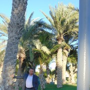  ,   , 54 ,     , c 