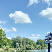  --,   , 47 ,     , c 