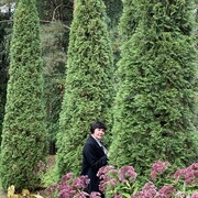 ���������� �����-���������, ���� ������� �������, 46 ���, ������������ ��� ����� � ���������, c�������� ���������