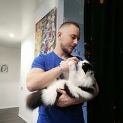 ���������� ����, ���� ������� �������, 29 ���, ������������ 