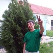  -,   , 46 ,   