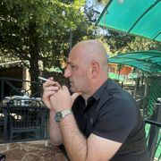  Alba Iulia,   , 41 ,   ,   