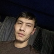  ,   Zoxid, 38 ,   ,   , c 