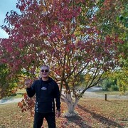 ���������� ��������, ���� ������� ������, 50 ���, ������������ ��� c�������� ���������