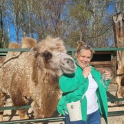 ���������� �����������, ���� ������� ����, 56 ���, ������������ ��� c�������� ���������